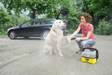 Karcher Pet Cleaning Brush (OC 3 Foldable) - 0