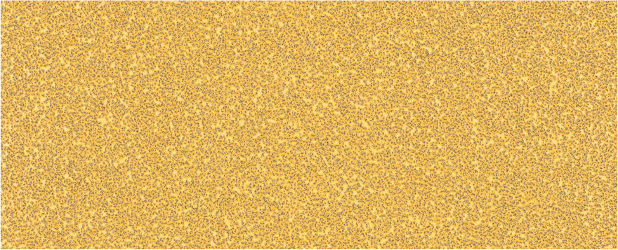 EXPERT C470 Sandpaper with no holes for Orbital Sanders 93 x 230 mm, G 40 10-pc
