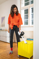 Karcher Battery-power vacuum cleaner KVA 2-4