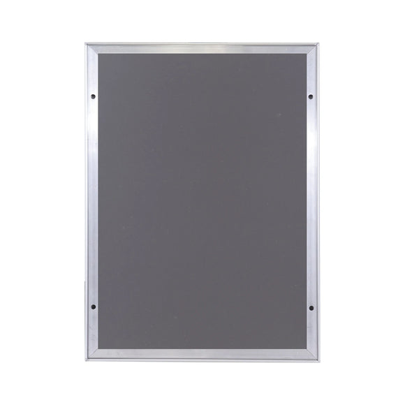 Parrot Poster Frame A0 1250x900mm Single Mitred - image 02