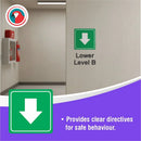 Parrot Sign Symbolic 150x150mm Green Arrow Sign On White Acp - image 03