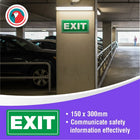 Parrot Symbolic Sign 150x300mm Exit Green On White Acp - image 06