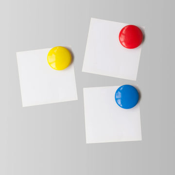 Parrot Magnets Circle 40mm (4/Card) Assorted - image 01