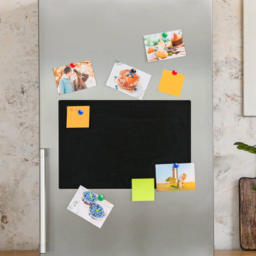Parrot Magnets Circle 40mm (4/Card) Assorted - image 02
