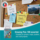 Parrot Drawing Pins Boxed Pack 100 Assorted - image 01