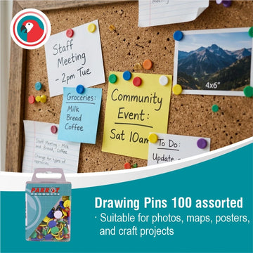 Parrot Drawing Pins Boxed Pack 100 Assorted - image 01