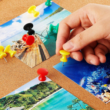 Parrot Giant Thumb Tacks Boxed 15 Assorted - image 02