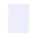 Parrot Perspex Pocket Clear / White Backing A3 Portrait - image 06