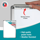 Parrot Poster Frame A0 1250x900mm Chrome Corner - image 04