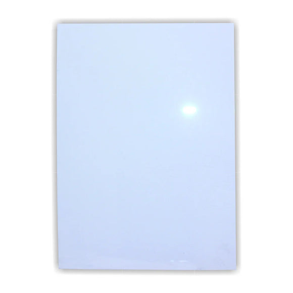 Parrot Poster Frame Clear Media Cover 1.2mm A0 - image 01