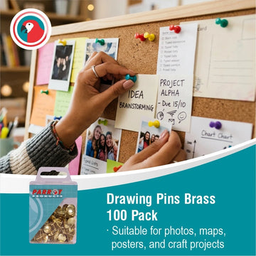 Parrot Drawing Pins Brass Pack 100 - image 02
