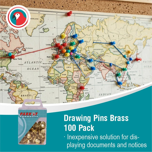 Parrot Drawing Pins Brass Pack 100 - image 07