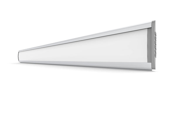 Parrot Sign Frame 50 X 450mm (M) - image 04