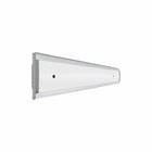 Parrot Sign Frame 50 X 210mm (M) - image 06