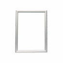 Parrot Poster Frame A1 870x625mm Single Mitred Econo - image 01