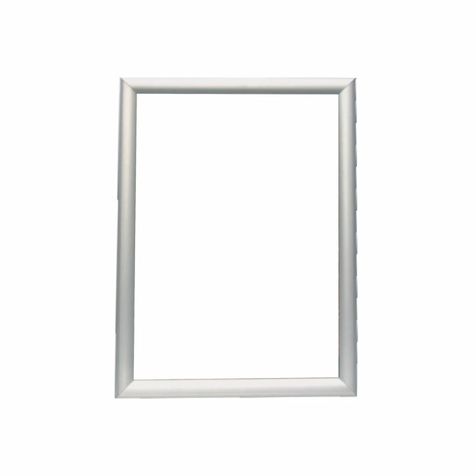 Parrot Poster Frame A1 870x625mm Single Mitred Econo - image 01