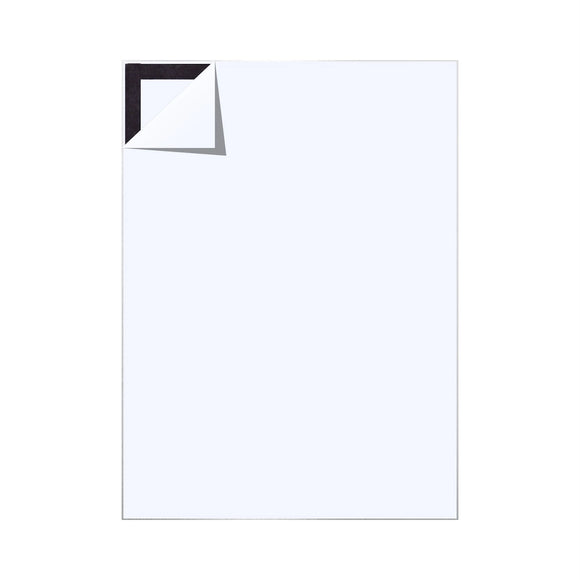 Parrot Poster Frame A3 440x320mm Magnetic S/Adhesive - image 03