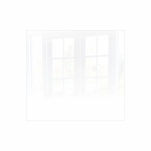 Parrot Decorative Glass Wall Tile 598mm X 650mm White Ral9010 - image 02