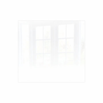 Parrot Decorative Glass Wall Tile 598mm X 650mm White Ral9010 - image 01
