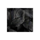 Parrot Decorative Glass Wall Tile 598mm X 650mm Feathers - image 01