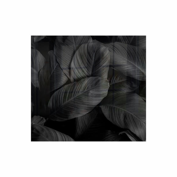 Parrot Decorative Glass Wall Tile 598mm X 650mm Feathers - image 01