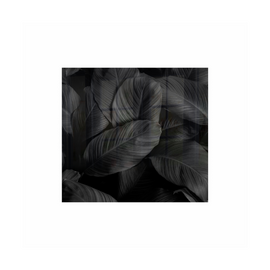 Image of Decorative Glass Wall Tile 598Mm X 650Mm Feathers