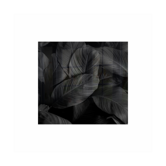 Image of Decorative Glass Wall Tile 598Mm X 650Mm Feathers