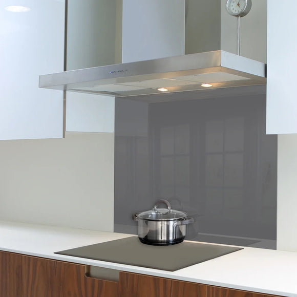 Parrot Decorative Glass Wall Tile 898mm X 700mm Gun Metal - image 01