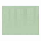 Parrot Decorative Glass Wall Tile 898mm X 700mm Pastel Green - image 01