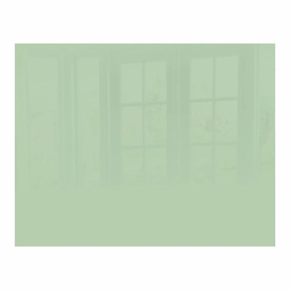 Parrot Decorative Glass Wall Tile 898mm X 700mm Pastel Green - image 01