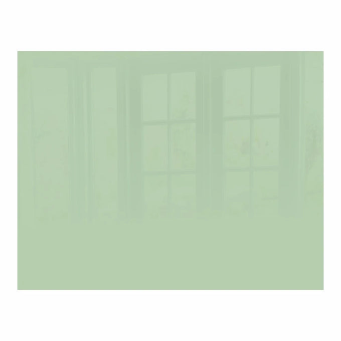 Parrot Decorative Glass Wall Tile 898mm X 700mm Pastel Green - image 01