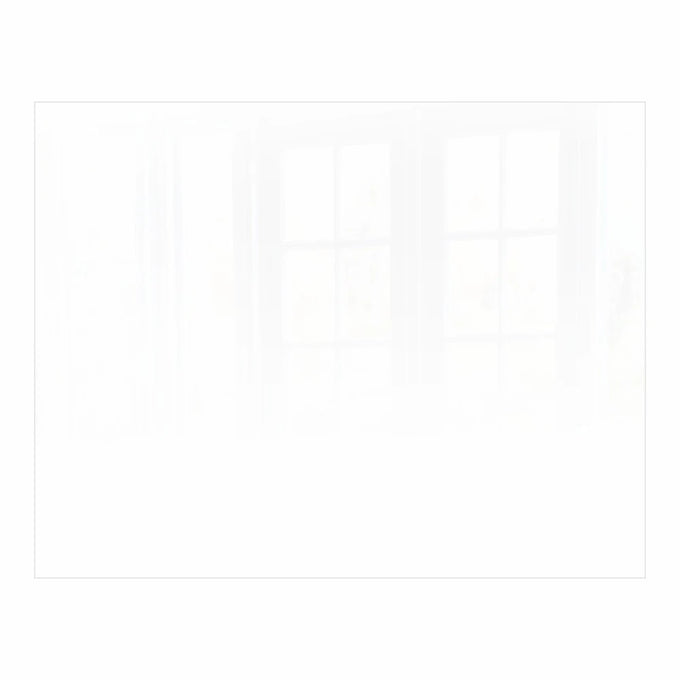 Parrot Decorative Glass Wall Tile 898mm X 700mm White Ral9010 - image 01