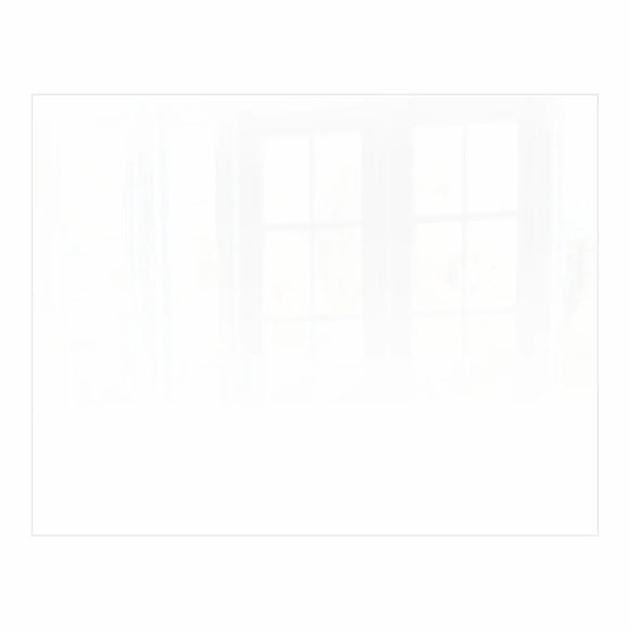 Parrot Decorative Glass Wall Tile 898mm X 700mm White Ral9010 - image 01