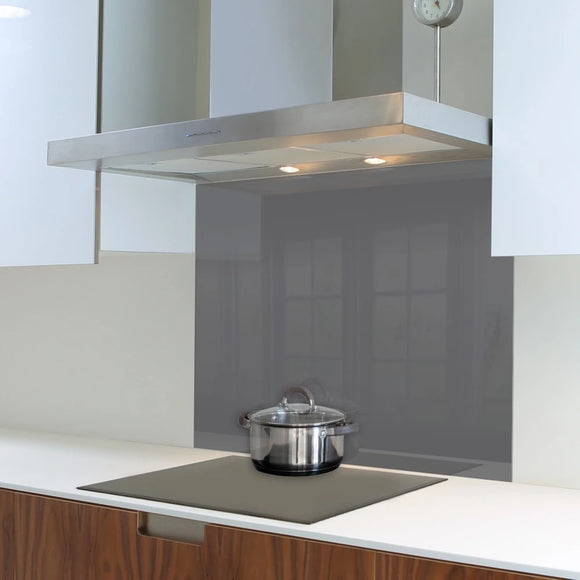 Parrot Decorative Glass Wall Tile 898mm X 700mm Met Gun Metal - image 01