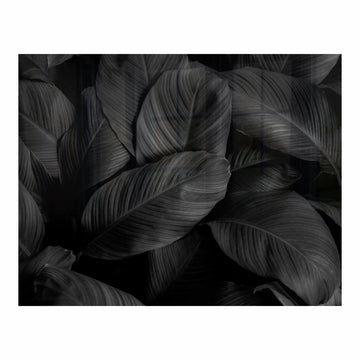 Parrot Decorative Glass Wall Tile 898mm X 700mm Feathers - image 02