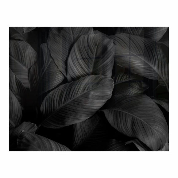 Parrot Decorative Glass Wall Tile 898mm X 700mm Feathers - image 02