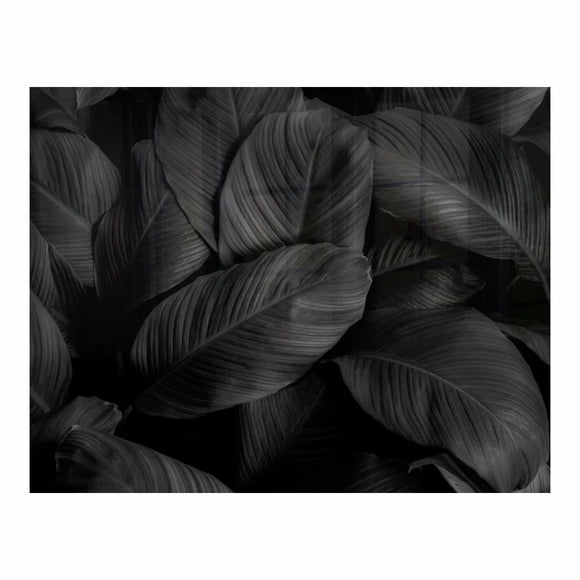 Parrot Decorative Glass Wall Tile 898mm X 700mm Feathers - image 01