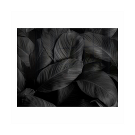 Image of Decorative Glass Wall Tile 898Mm X 700Mm Feathers