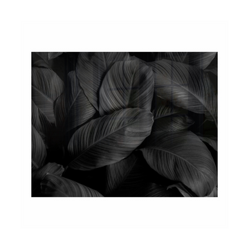 Image of Decorative Glass Wall Tile 898Mm X 700Mm Feathers