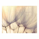 Parrot Decorative Glass Wall Tile 898mm X 700mm Dandelion Floret - image 01