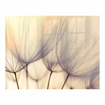 Parrot Decorative Glass Wall Tile 898mm X 700mm Dandelion Floret - image 01
