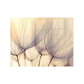Image of Decorative Glass Wall Tile 898Mm X 700Mm Dandelion Floret