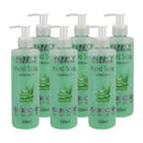 Parrot Antibacterial Hand Soap Aloe Vera 250ml Box Of 6 - image 03