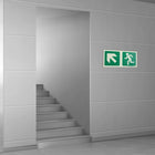 Parrot Photoluminescent 190mm Safety Sign -E12-Diagonal Arrow Up And Left+Running Man - image 01