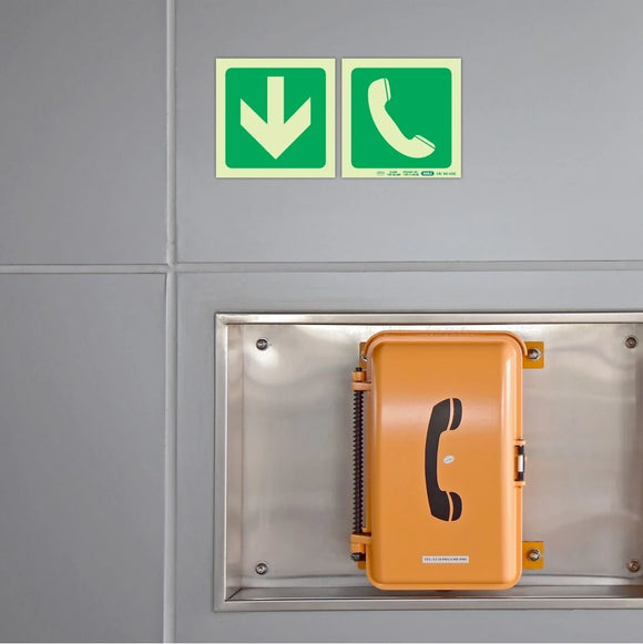Parrot Photoluminescent 190mm Safety Sign -E20-Telephone - image 02