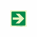 Parrot Photoluminescent 190mm Safety Sign -E21-Arrow Right - image 04