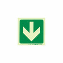 Parrot Photoluminescent 190mm Safety Sign -E23-Arrow Down - image 05