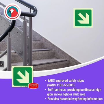 Parrot Photoluminescent 190mm Safety Sign -E31-Diagonal Arrow Down And Right - image 01