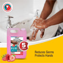 Parrot Antibacterial Hand Soap Strawberry 5L - image 04