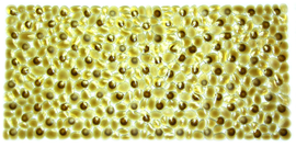 Image of Wildberry Bath Mat Small Stone